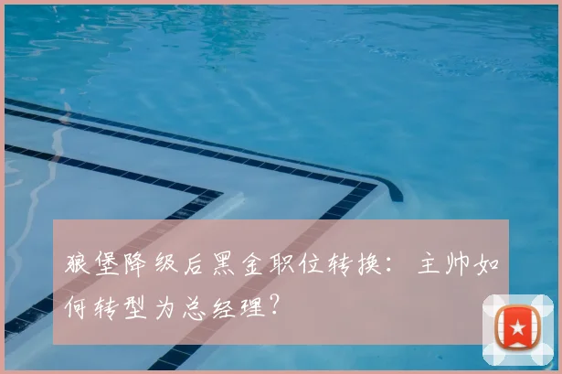 狼堡降级后黑金职位转换:主帅如何转型为总经理?